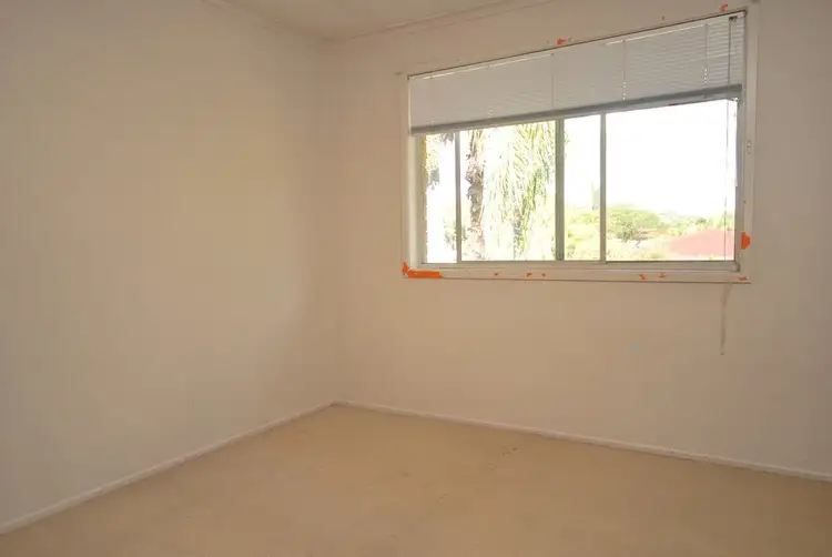 Fifth view of Homely house listing, 19 Celebes Ave, Palm Beach QLD 4221
