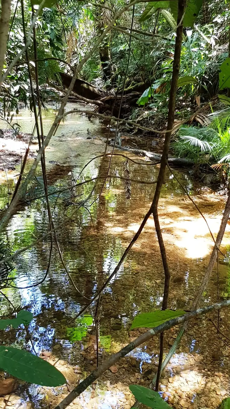 Fifth view of Homely land listing, Lot 19 Thornton Pk Drive Forest Creek, Daintree QLD 4873