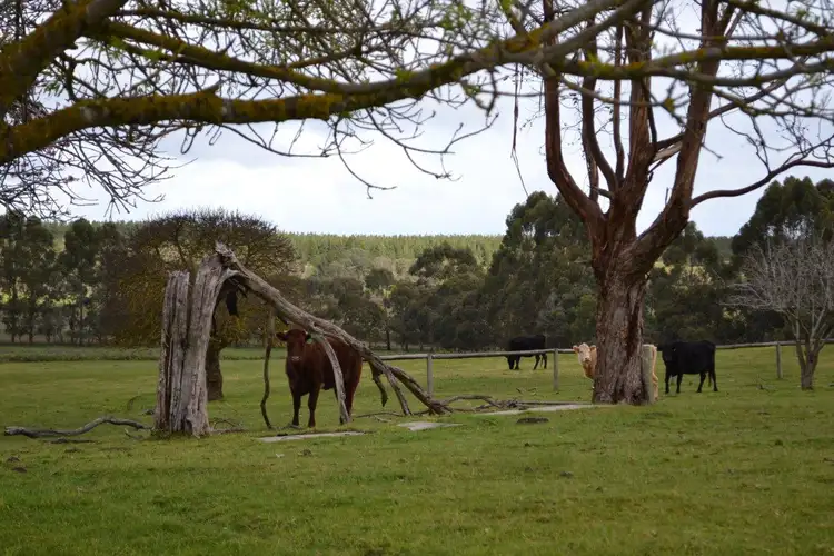 Sixth view of Homely rural property listing, 114 Furner - Redhill Road, Furner SA 5280