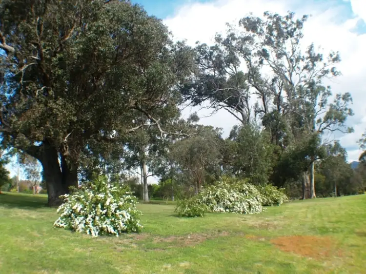 Third view of Homely house listing, 115 Wanatta Lane, Wolumla NSW 2550