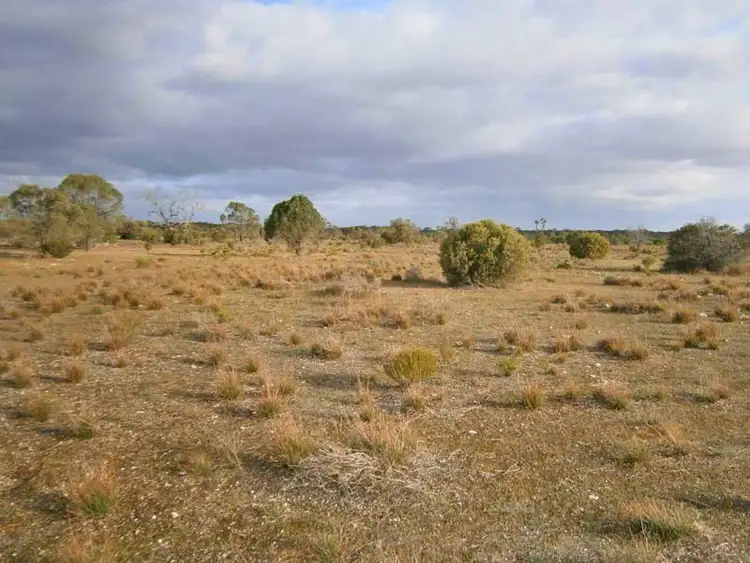 Fourth view of Homely rural property listing, Section 208 & 209 Stott Highway, Swan Reach SA 5354