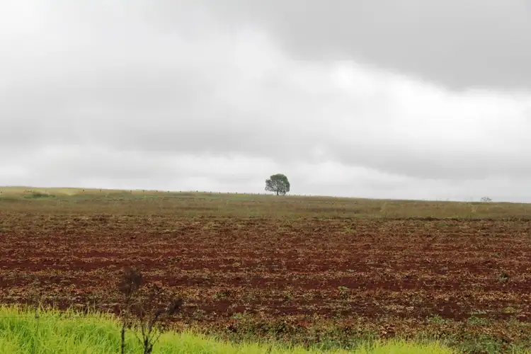 Third view of Homely rural property listing, Address available on request