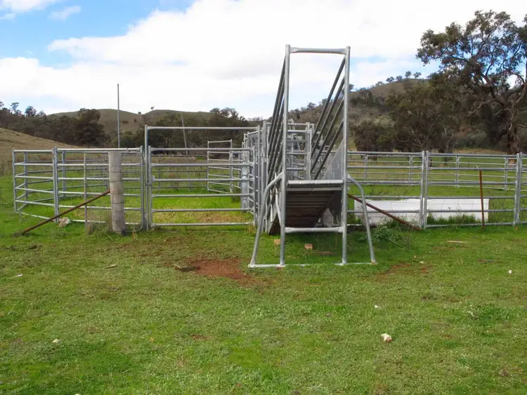 Sixth view of Homely rural property listing, 4078 Twelve Mile Road, Mudgee NSW 2850