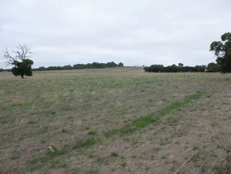 Lot 50 Frankland Cranbrook Rd, Cranbrook WA 6321