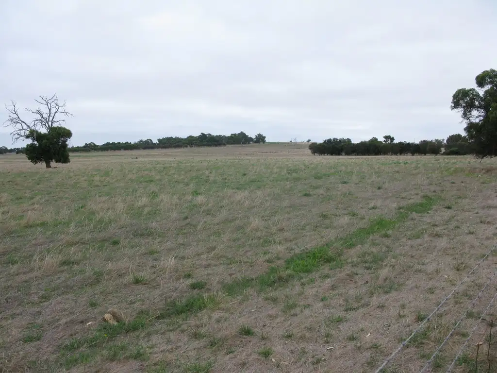 Main view of Homely rural property listing, Lot 50 Frankland Cranbrook Rd, Cranbrook WA 6321