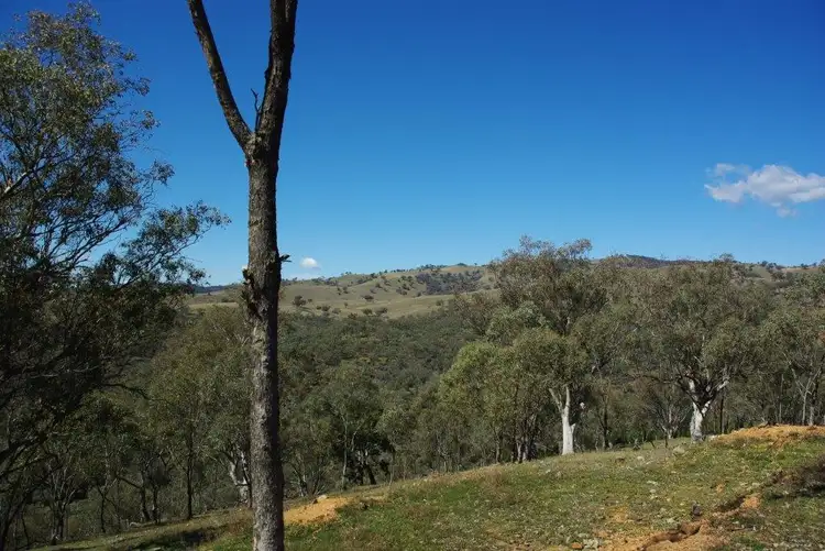 Main view of Homely rural property listing, 728 Mookerawa Road Mookerawa via, Wellington NSW 2820