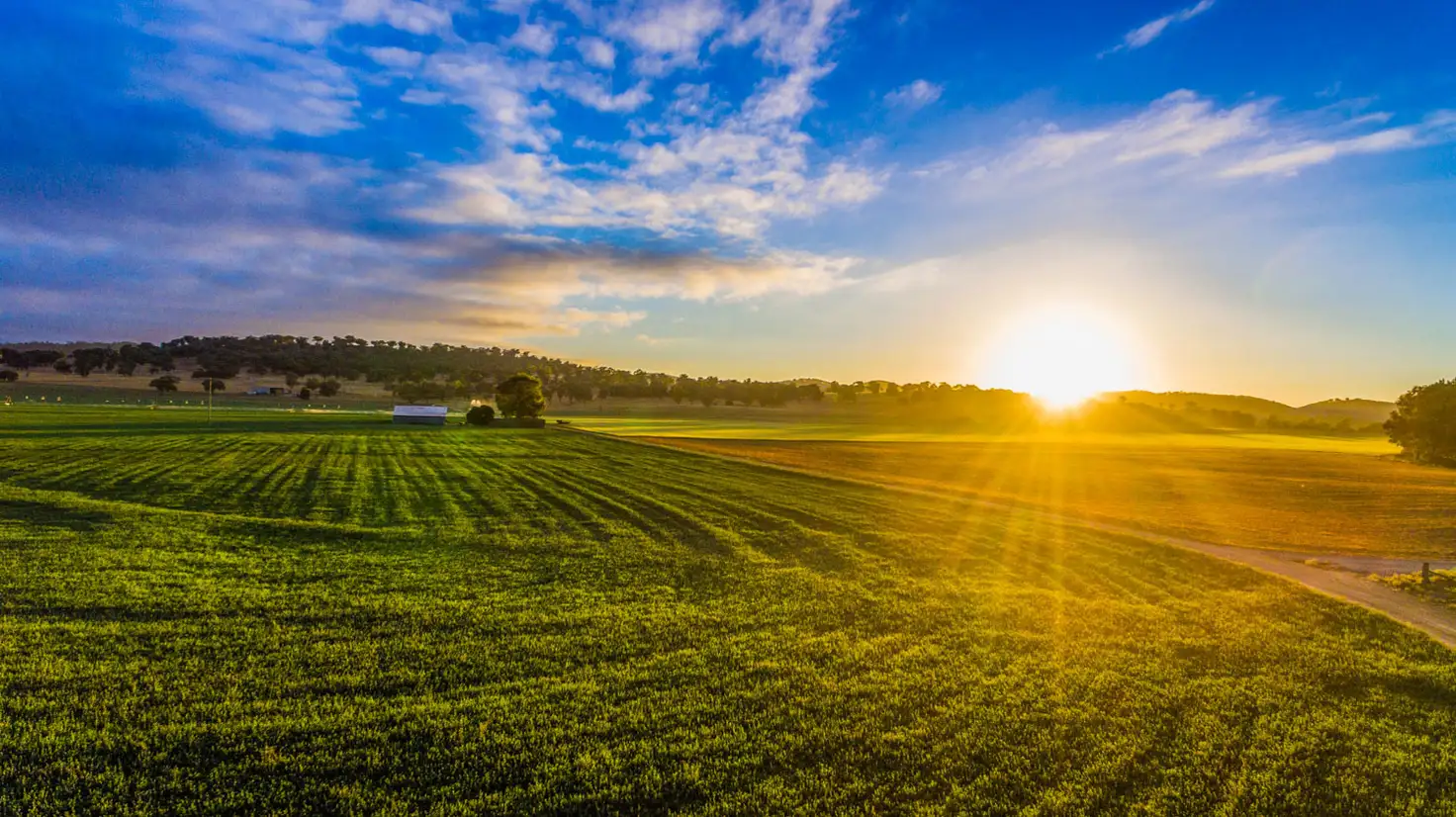 Main view of Homely rural property listing, 744 Wilbetree Road, Mudgee NSW 2850