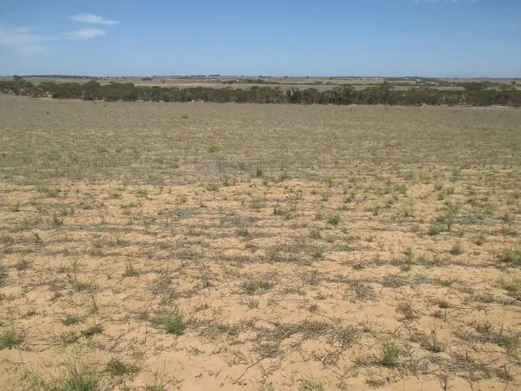 Seventh view of Homely rural property listing, A10 Karoonda Rd, Burdett SA 5253