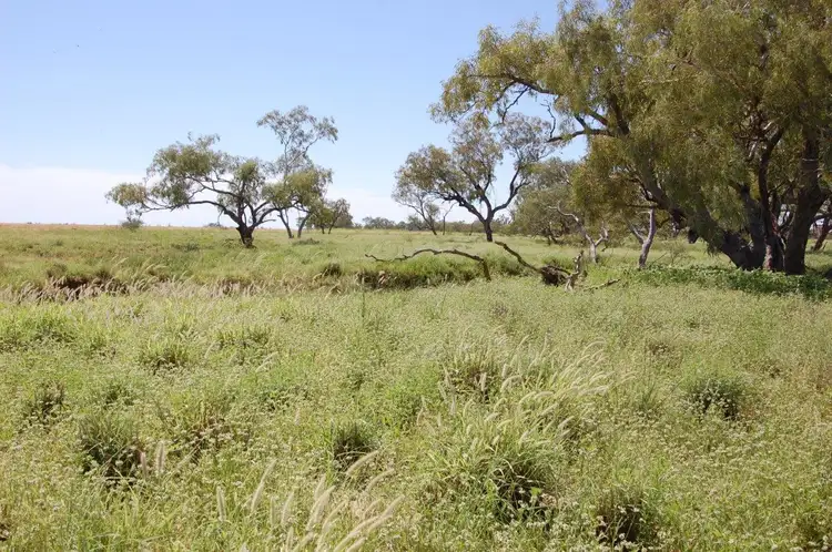 Main view of Homely rural property listing, "KYWONG" 6073 Winton-Eskdale Road, Winton QLD 4735