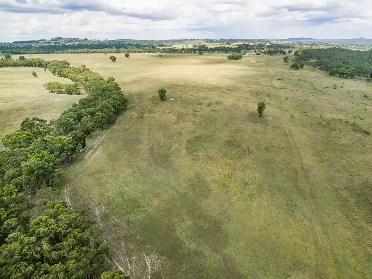 Sixth view of Homely rural property listing, 305 Blue Springs Road, Gulgong NSW 2852