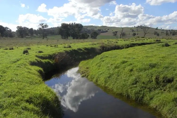Main view of Homely rural property listing, 907 Darbys Falls Road, Cowra NSW 2794