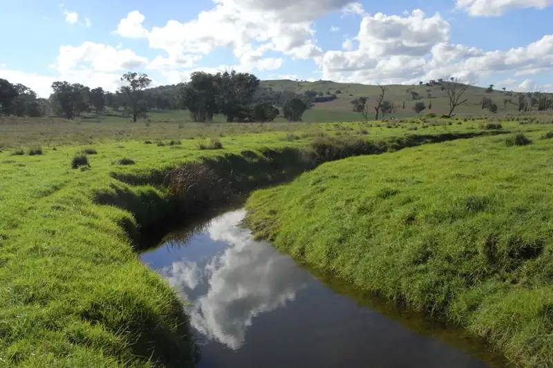 Main view of Homely rural property listing, 907 Darbys Falls Road, Cowra NSW 2794