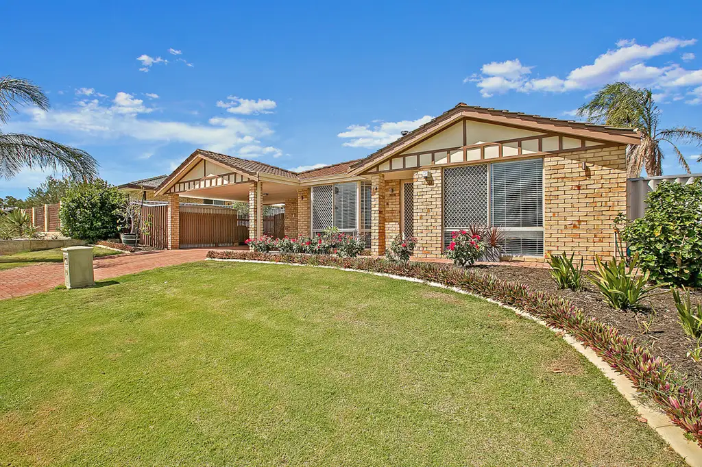 Main view of Homely house listing, 14 Michigan Heights, Success WA 6164