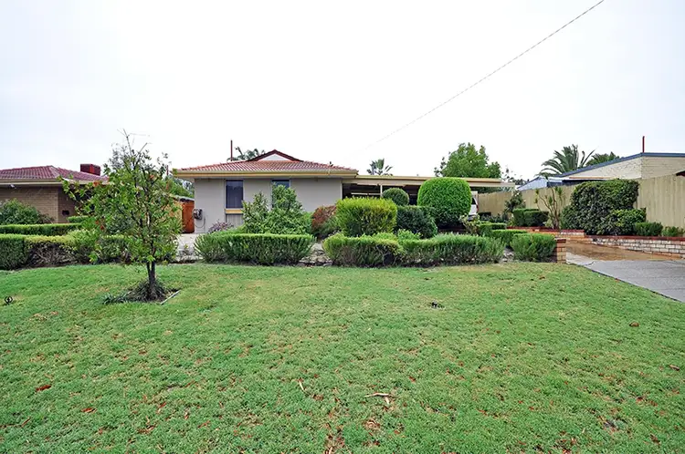 Second view of Homely house listing, 46 Hurlston Way, Koondoola WA 6064