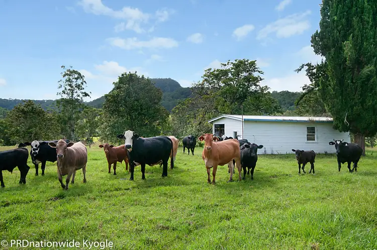 Second view of Homely rural property listing, 1101 Cawongla Road, Larnook NSW 2480