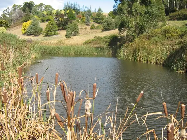 Third view of Homely rural property listing, 965 Forth Road, Turners Beach TAS 7315