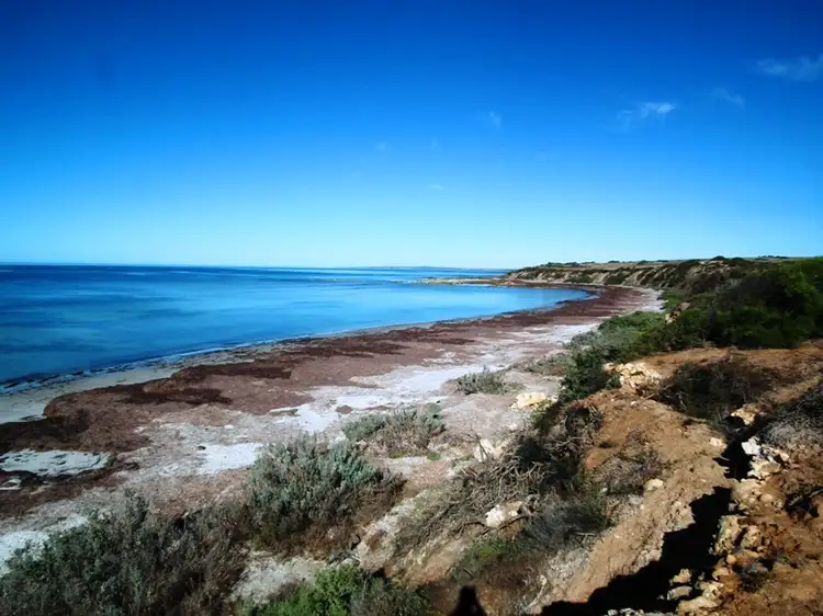 Second view of Homely rural property listing, Allotment 100 Hundred of Dixson, Arno Bay SA 5603