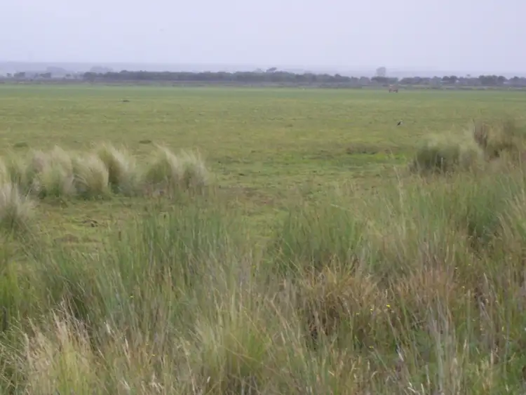 Sixth view of Homely rural property listing, 100 Troeths Road, Heywood VIC 3304