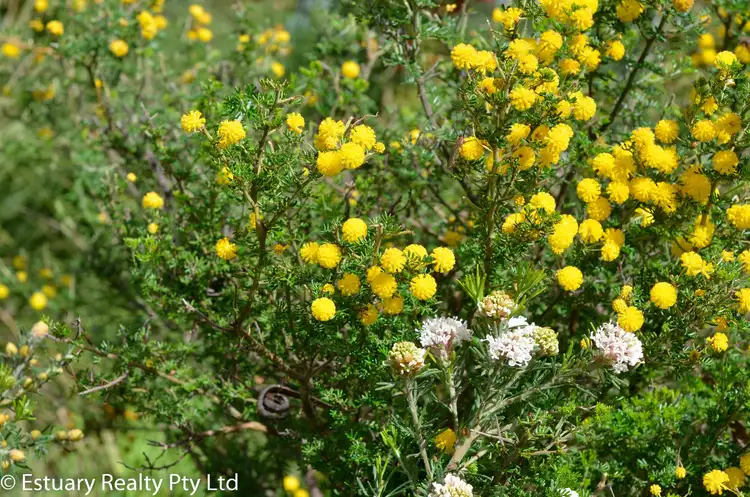 Seventh view of Homely rural property listing, 526 Southern Estuary Road, Lake Clifton WA 6215