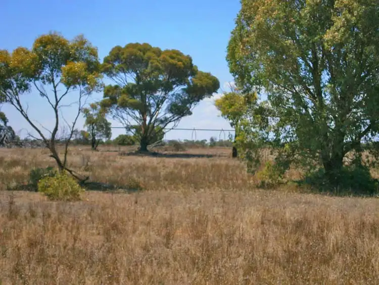 Second view of Homely rural property listing, Lot 38 McKay Road, Blanchetown SA 5357