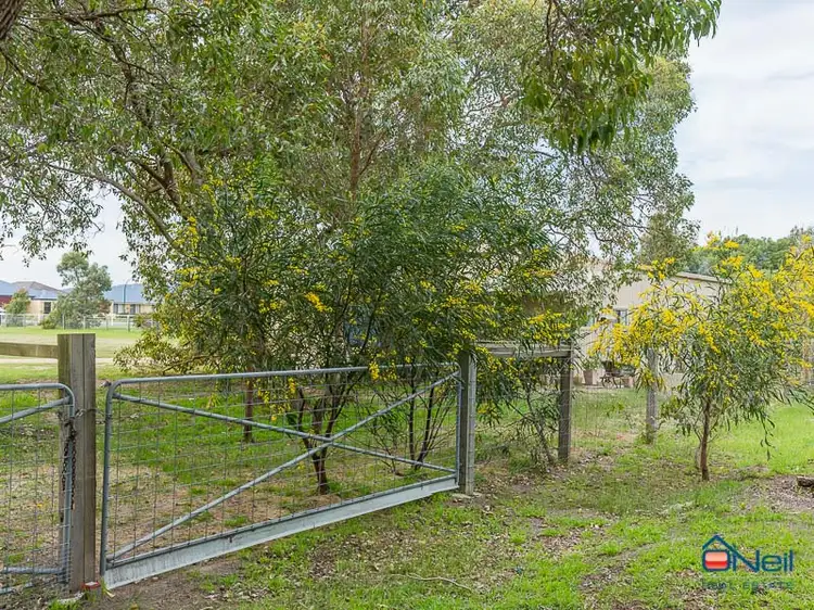 Fifth view of Homely house listing, 11 Ballagar Road, Byford WA 6122