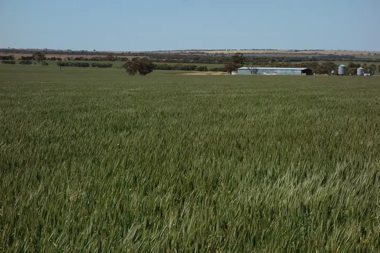 West Warra 120 Llewllyn Road, Kondinin WA 6367