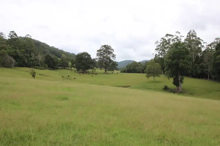 Main view of Homely rural property listing, Lot 101 Pappinbarra Rd, Pappinbarra NSW 2446