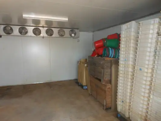 Sixth view of Homely rural property listing, 77 Back Wombat Road, Young NSW 2594