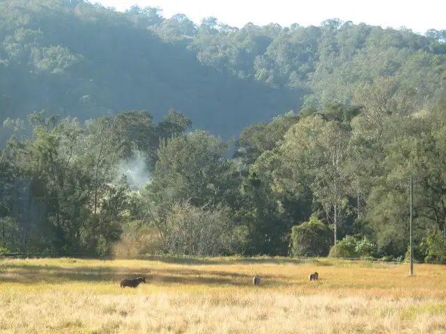 Second view of Homely rural property listing, 1730 Collins Creek Road, Kyogle NSW 2474