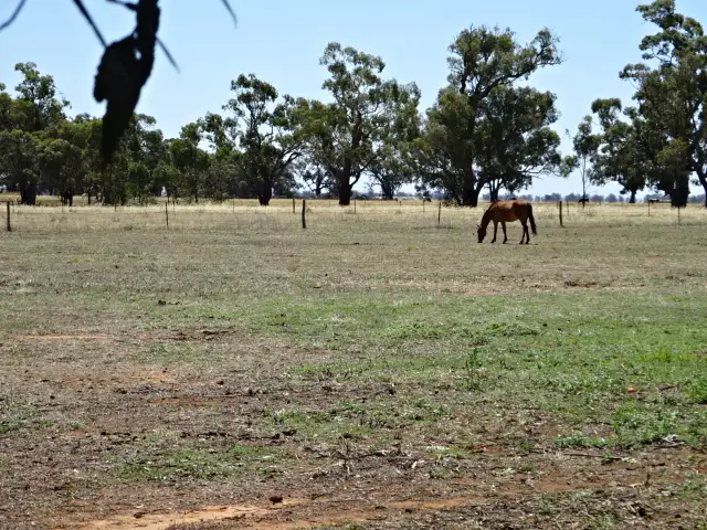 Fourth view of Homely rural property listing, . Line Road, Moama NSW 2731