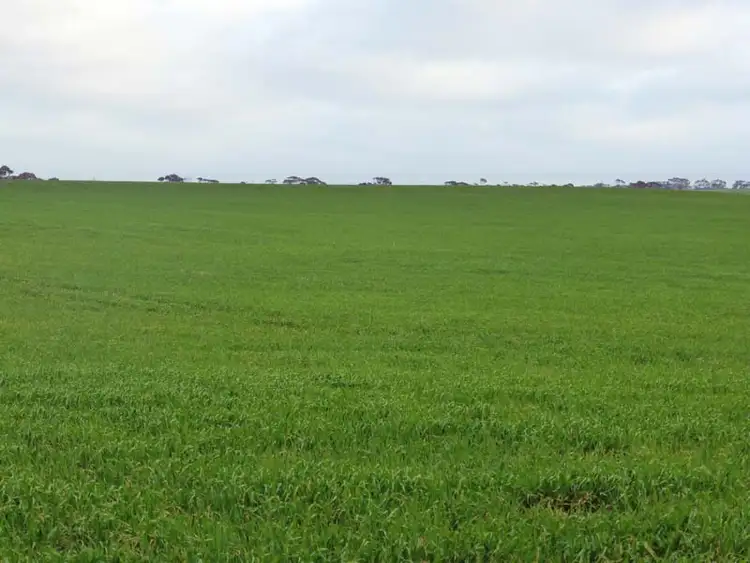 Seventh view of Homely rural property listing, 571 Kangaroo Road, Langhorne Creek SA 5255