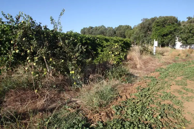 Fifth view of Homely house listing, 26 McFarlane Road, Waroona WA 6215