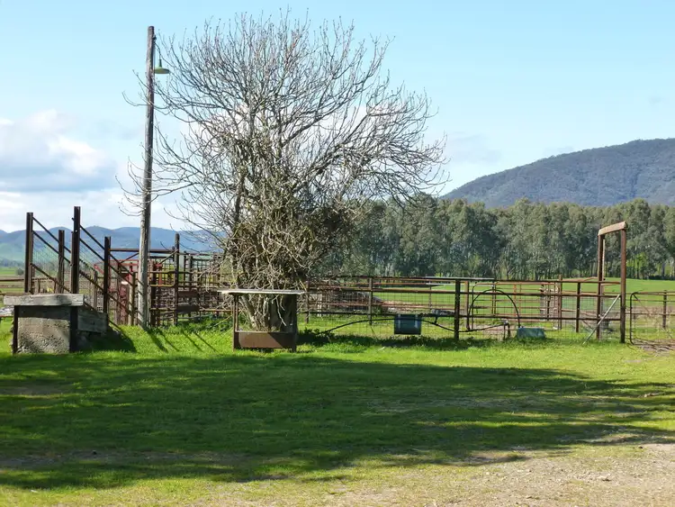 Sixth view of Homely rural property listing, 1169 Omeo Highway, Tallangatta VIC 3700