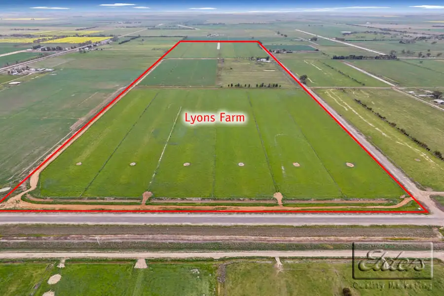 Main view of Homely rural property listing, 79 Dingee-Serpentine Road, Dingee VIC 3571