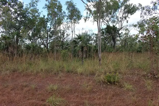 Third view of Homely rural property listing, 420 Heathers Lagoon Road, Lake Bennett NT 822