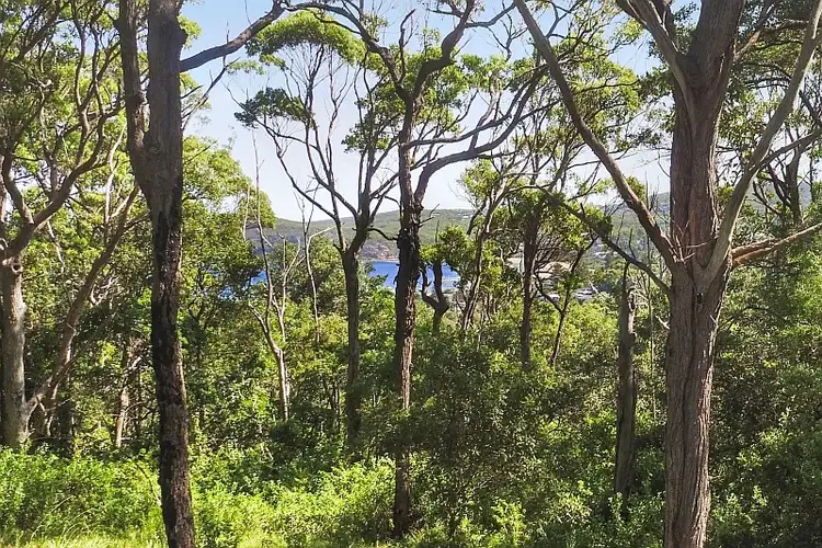 Third view of Homely land listing, 186 Cape Three Points Road, Avoca Beach NSW 2251