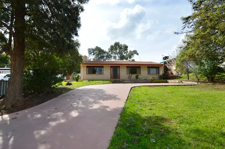 Second view of Homely house listing, 19 Riverview Drive, Dareton NSW 2717