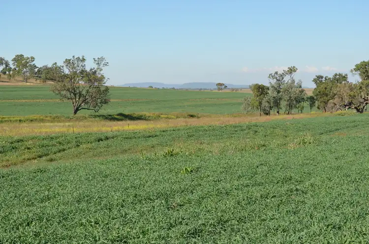 Second view of Homely rural property listing, 766 Umbiram Road, Umbiram QLD 4352