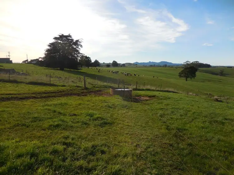 Fifth view of Homely rural property listing, 31315 TASMAN HIGHWAY, Winnaleah TAS 7265