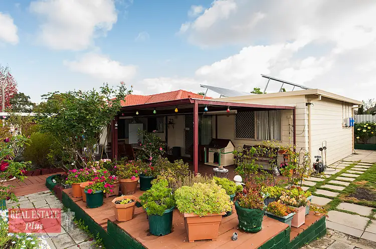 Third view of Homely house listing, 43 Tallerack Way, Forrestfield WA 6058