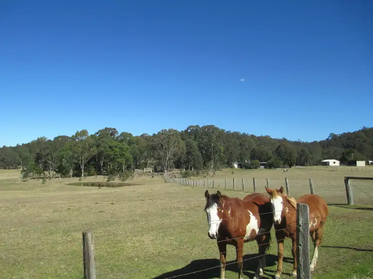 523 Larrys Mountain Road, Moruya NSW 2537