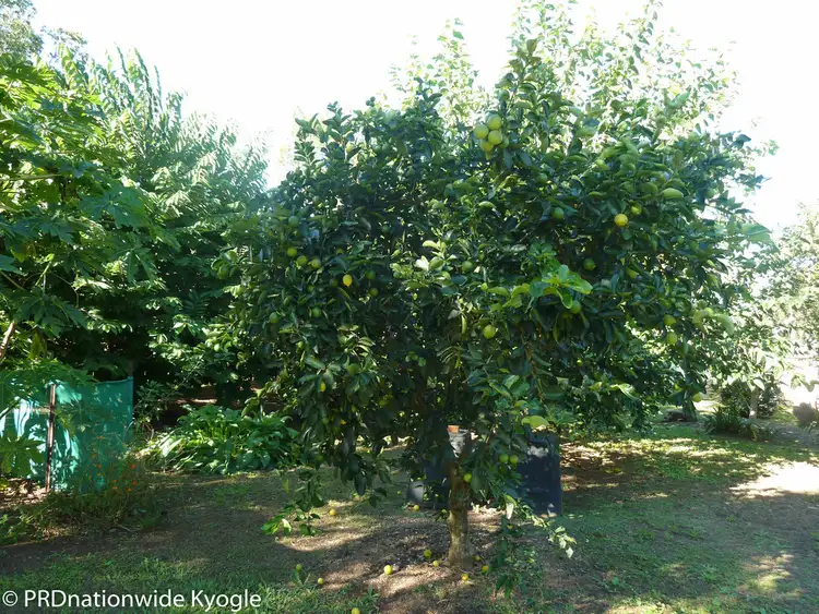 Sixth view of Homely house listing, 20 Saville Street, Kyogle NSW 2474