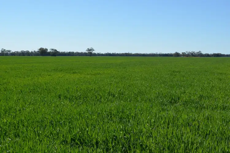 Seventh view of Homely rural property listing, 0 Campbells Road, Punchs Creek QLD 4357