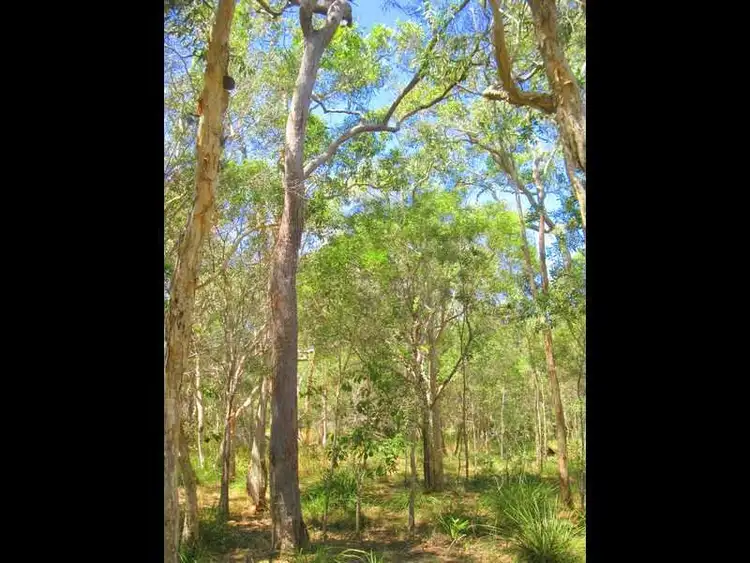 Sixth view of Homely land listing, 241 Allingham Way, Agnes Water QLD 4677