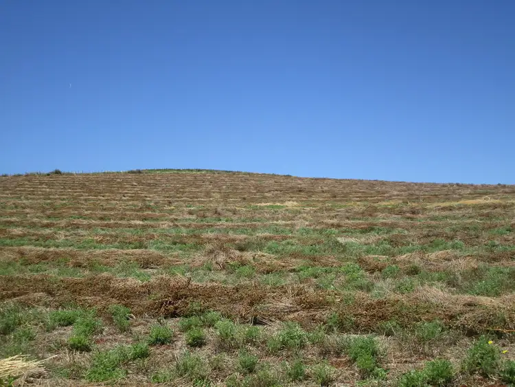 Seventh view of Homely rural property listing, 605 Castra Road, Abbotsham TAS 7315