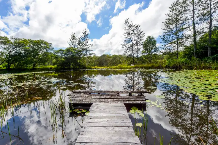 Second view of Homely rural property listing, 85 Frickers Road, Nymboida NSW 2460