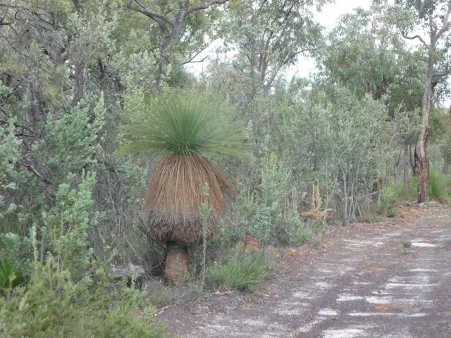 Fourth view of Homely land listing, 7 Blue Squill Drive, Lower Chittering WA 6084