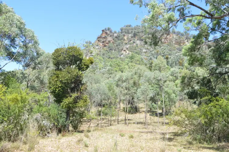 Fifth view of Homely rural property listing, 4936 Bylong Valley Way, Rylstone NSW 2849