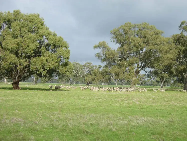 Fourth view of Homely rural property listing, 538 Jessie Road, Naracoorte SA 5271