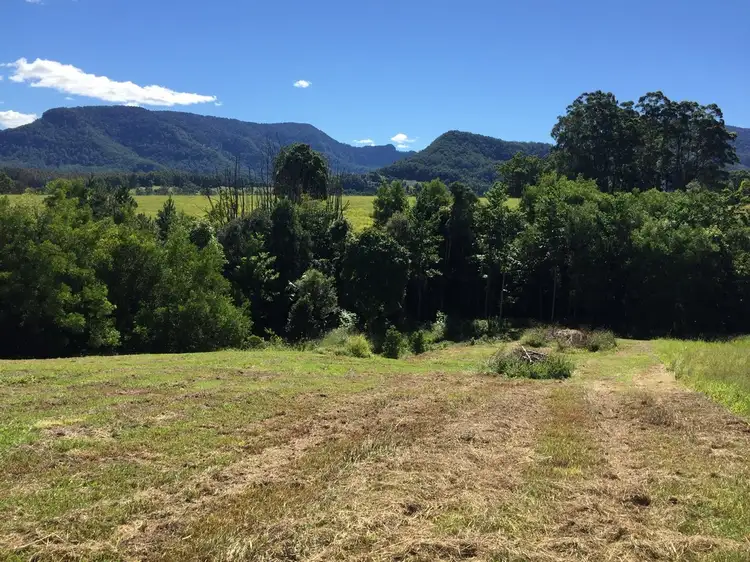 Main view of Homely rural property listing, 66 Tulsi Lane, Nimbin NSW 2480